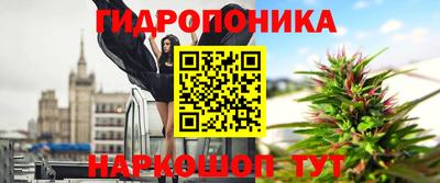 прущие крисы Краснознаменск